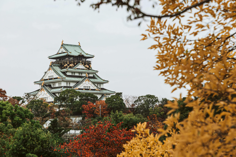 From Osaka/Kyoto/Nara: Customizable Private Tour & Car/Guide
