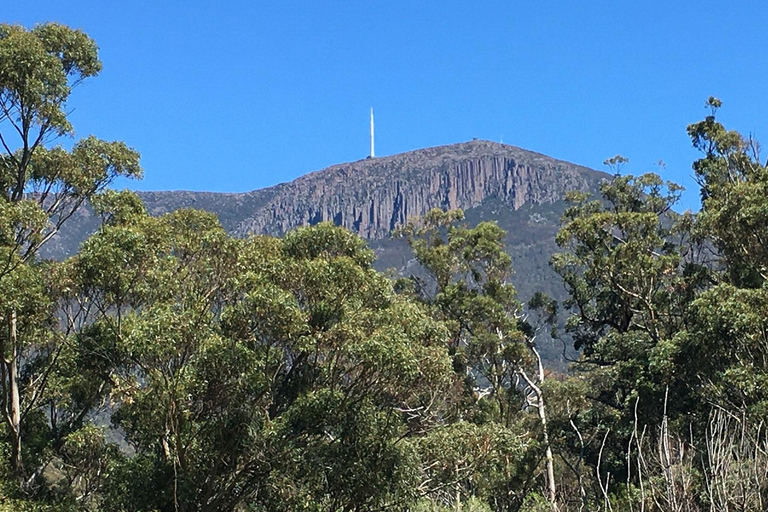 Vanuit Hobart: Fietstocht naar de top van Mt Wellington en het regenwoud