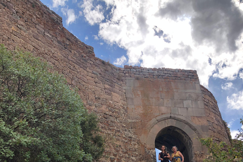 Yerevan: Vayots Dzor Private Tour with Geyser & Fortress