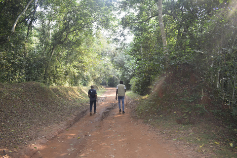 Jinja: Excursión de un día con crucero en barco por el nacimiento del Nilo