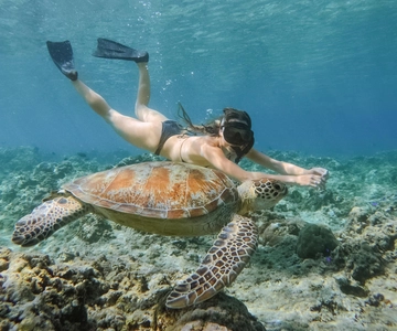 From Gili Meno: Private Snorkeling with Turtle & Statue