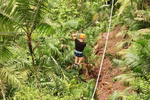 Panamá: Excursión en Tirolina por la Isla de los Monos y la Selva Tropical de Gamboa