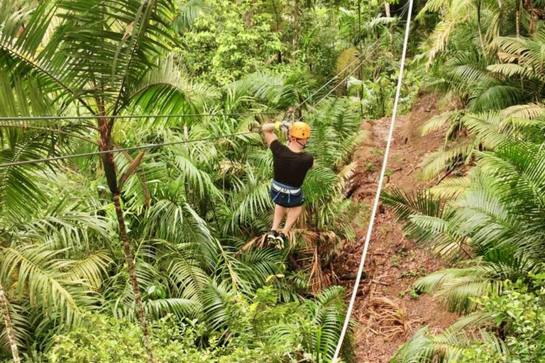 Panama: Affeninsel und Gamboa Regenwald Zipline Tour