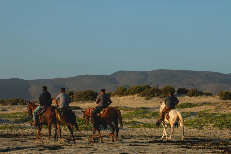 Phoenix: Cowboy Cookout Horseback Ride with Dinner