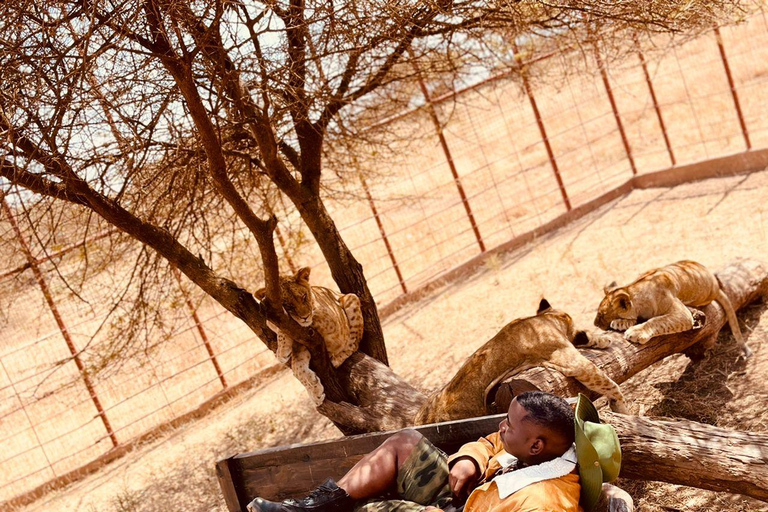 Viagem privada de 1 dia para a vida selvagem Serval e as fontes termais ChemkaViagem privada de 1 dia para ver a vida selvagem em Serval e as fontes termais de Chemka