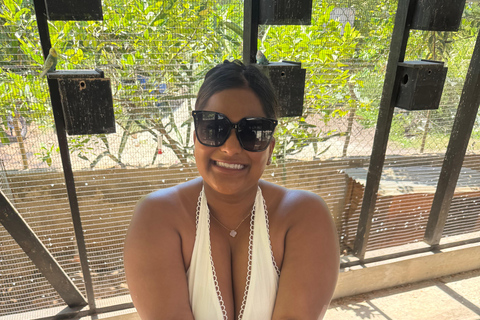 Exotic bird tour and Souvenir Shopping from Montego Bay