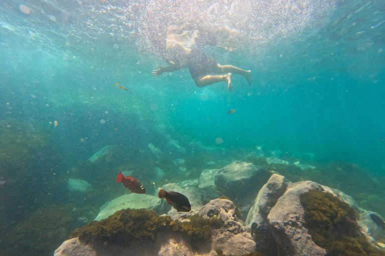Vila Franca Islet: Snorkeling Inside the Crater