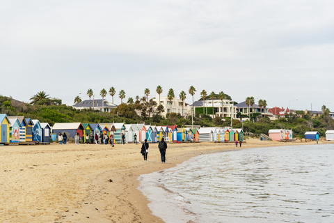 From Melbourne: Phillip Island Eco Wildlife Tour