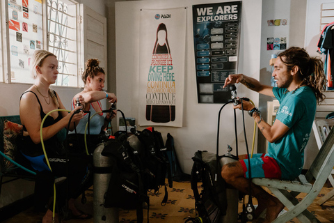 Tayrona National Park: Beginner Diving with Expert Tour Guides Tayrona National Park: Beginner Diving With Expert Tour Guides