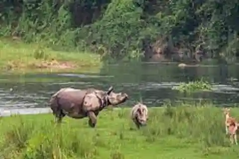 6 night 7 days Kathmandu Pokhara Chitwan Tour