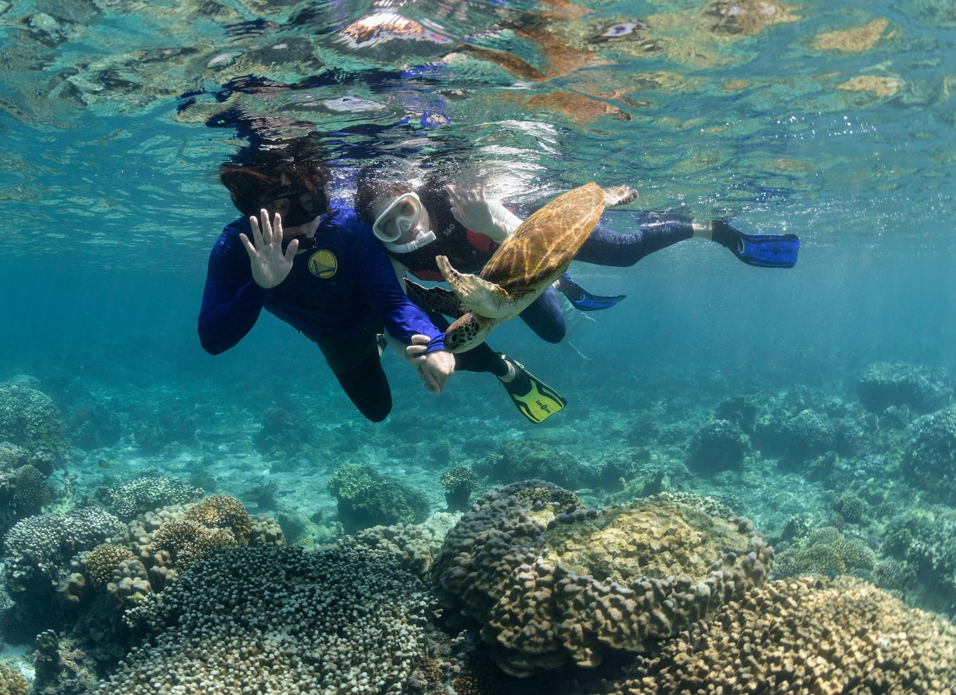 Muscat: Snorkeltur til Daymaniyat-øerne med BBQ-frokost