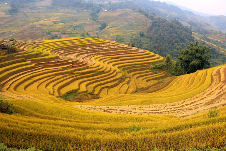 Tour Ha Noi - Mu Cang Chai treckking 3 days 2 nights