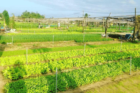 Hoi An : Cours de cuisine au village d&#039;herbes de Tra Que