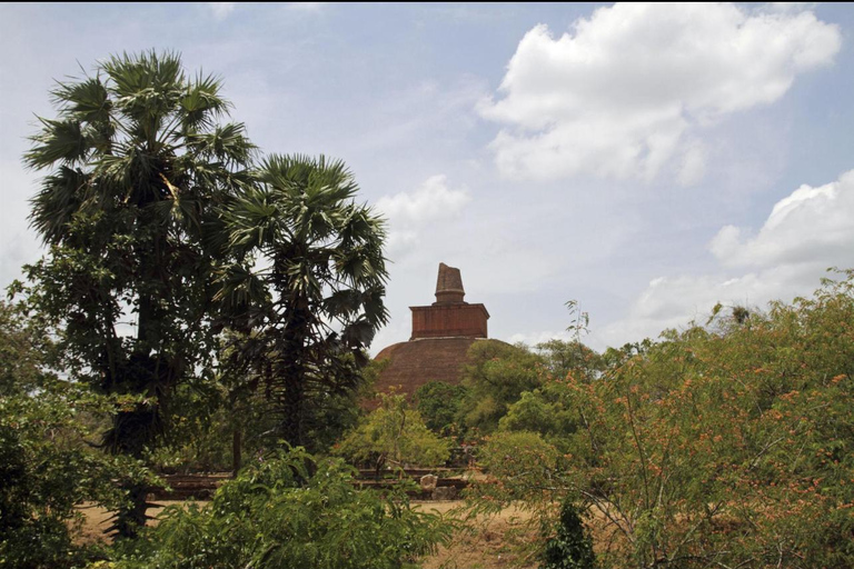 Sigiriya to Wilpattu Safari & Anuradhapura Cultural Day Tour