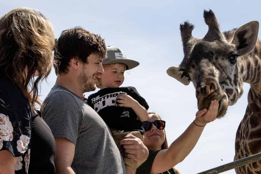 Toronto: Toronto Zoo Entry Ticket. Foto: GetYourGuide