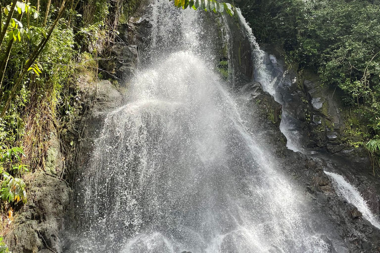 Waikiki: Hidden Hawaii Waterfall Hike and Beach Tour