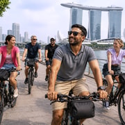 Singapore Highlights: Small Group Half-Day Bike Tour