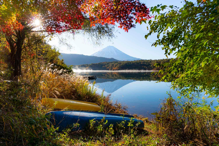 Tokyo: Private Mount Fuji Tour with 5 Lakes - English-Driver