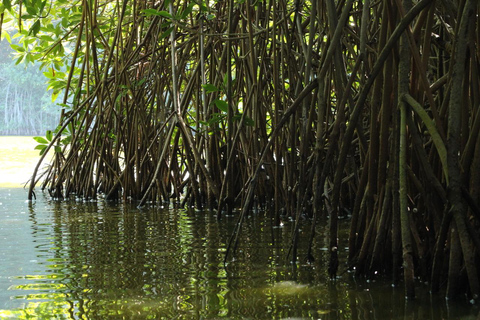From Puerto Escondido: Day Trip to Chacahua National Park