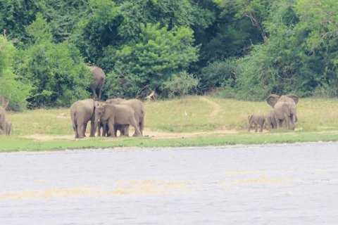 UGANDA: 7-daagse Murchison watervallen, koningin Elizabeth en Ziwa