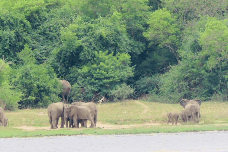 UGANDA: 7 dias nas Cataratas de Murchison, Queen Elizabeth e Ziwa