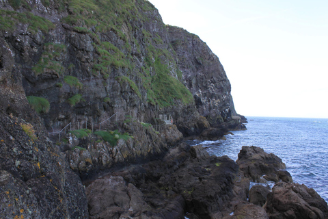 Experiencia en Gobbins Cliff: Costa de Antrim Castillo de Carrickfergus