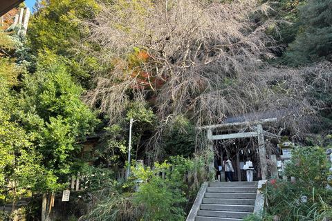 Kyoto: Higashiyama Premium E-Bike Tour with guide