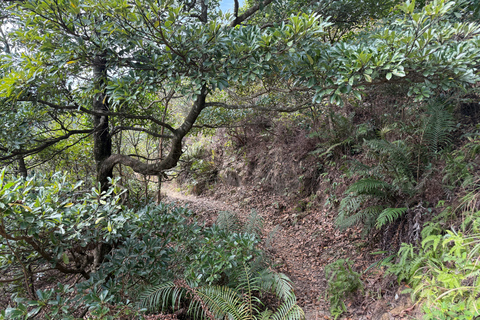 Hong Kong: Tung Shan Skyline Views Guided Hike (2.5 Hours)