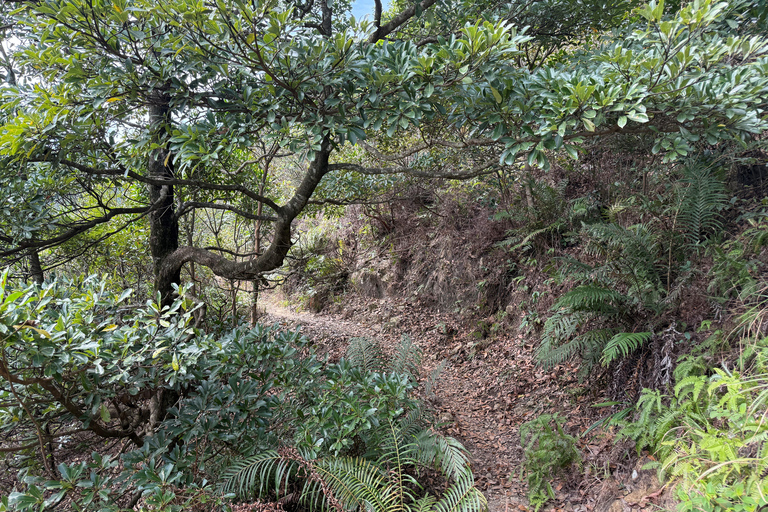 Hong Kong: Tung Shan Skyline Views Guided Hike (2.5 Hours)