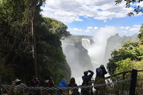 Victoria falls Rainforest: Guided Sunrise, day & sunset Tour