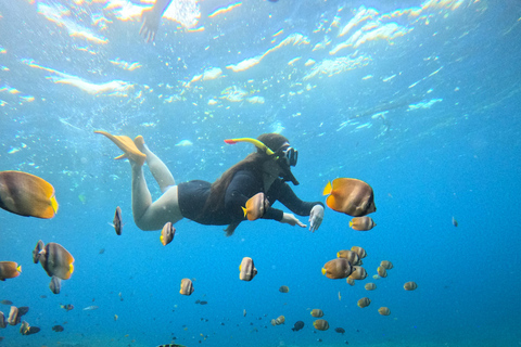 Bali/Nusa Penida: Private Snorkeling With Guide & West Tour Transfer from Sanur Area