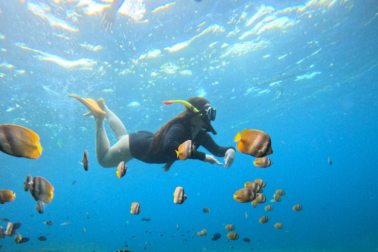 Bali/Nusa Penida: Private Snorkeling With Guide & West Tour Transfer from Sanur Area