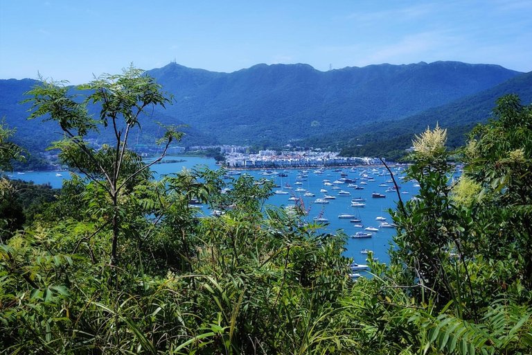 Hong Kong Wandelen en verborgen parels TourTrektocht 5-zits met Chinees sprekende chauffeur