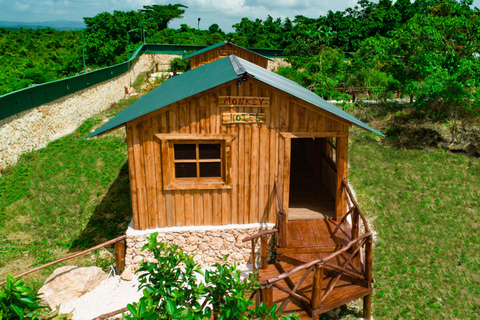 Punta Cana: Monkey Sanctuary, Farm & Cenote Swim Combo
