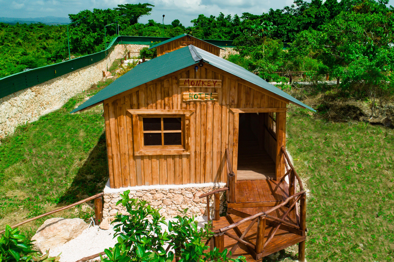 Punta Cana: Monkey Sanctuary, Farm & Cenote Swim Combo