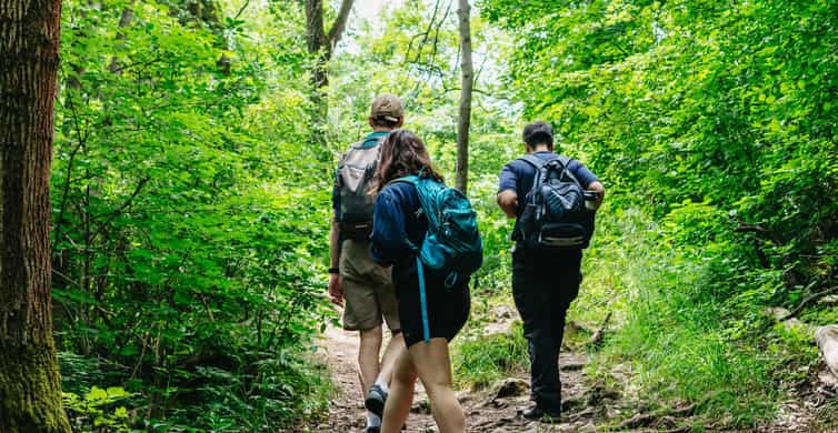 Budapest: Buda Hills Guided Hiking Tour with Optional Lunch photo 13