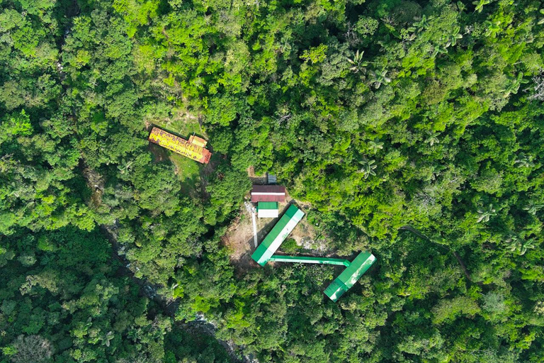 Soqtapata : 3 jours tout compris, expériences et circuit en AmazonieSoqtapata : 3 jours tout compris, expériences et visite de l&#039;Amazonie