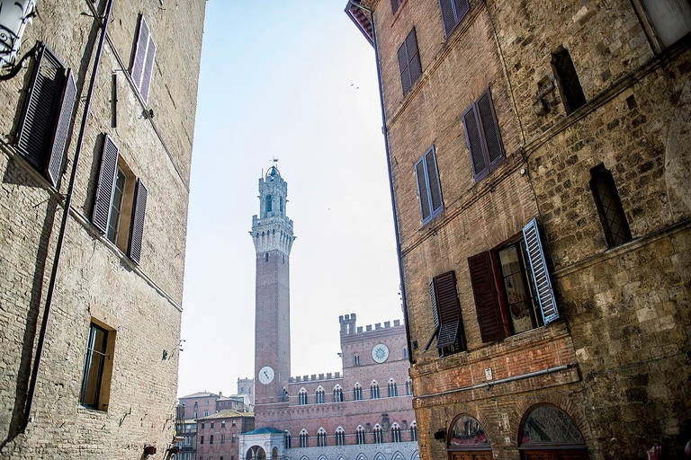 Privétour Toscane naar Pisa, Siena, San Gimignano en lunch