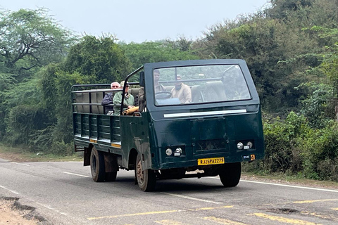 Delhi: 2-Day Ranthambore Safari by Car with Hotel Delhi to Ranthambore Overnight Tour with Safari & 3* Resort