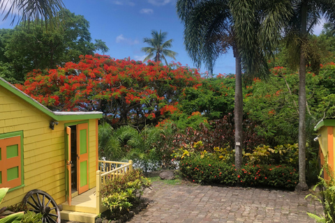 St. Kitts: Basseterre Open-Air Reggae Island Tour St. Kitts: Basseterre and Romney Manor Open-Air Reggae Tour