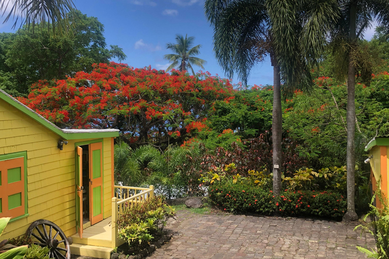 St. Kitts: Basseterre Open-Air Reggae Island Tour St. Kitts: Basseterre and Romney Manor Open-Air Reggae Tour