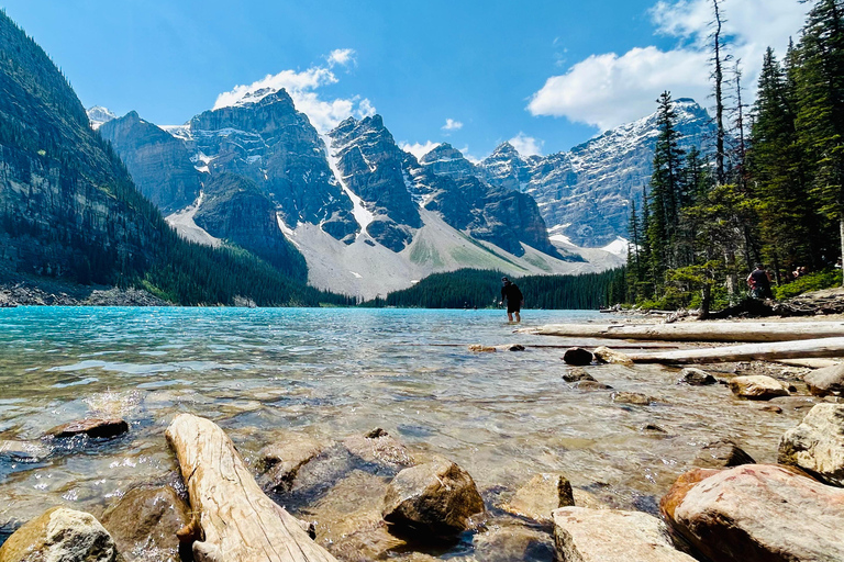 Banff/Calgary: Tour privato dei parchi nazionali di Banff e YohoDa Calgary