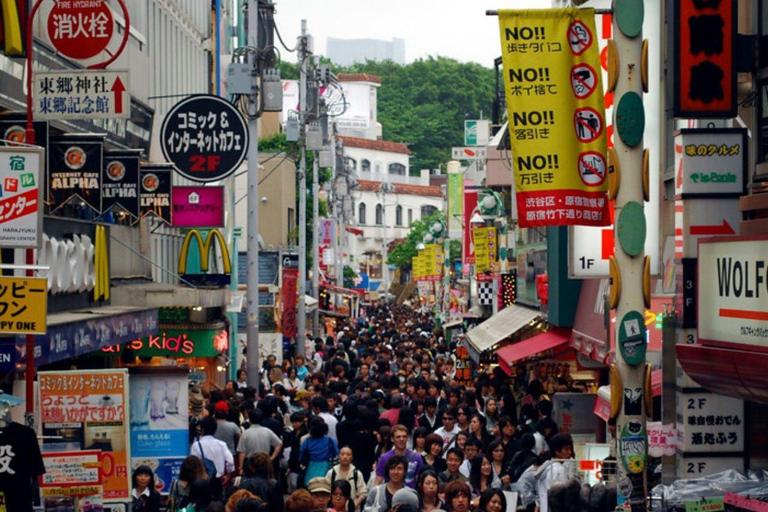 Tokyo avslöjat: En lyxig dag med tradition och teknikTokyo avslöjat: En lyxig dag med tradition och teknik - 7-sitsig