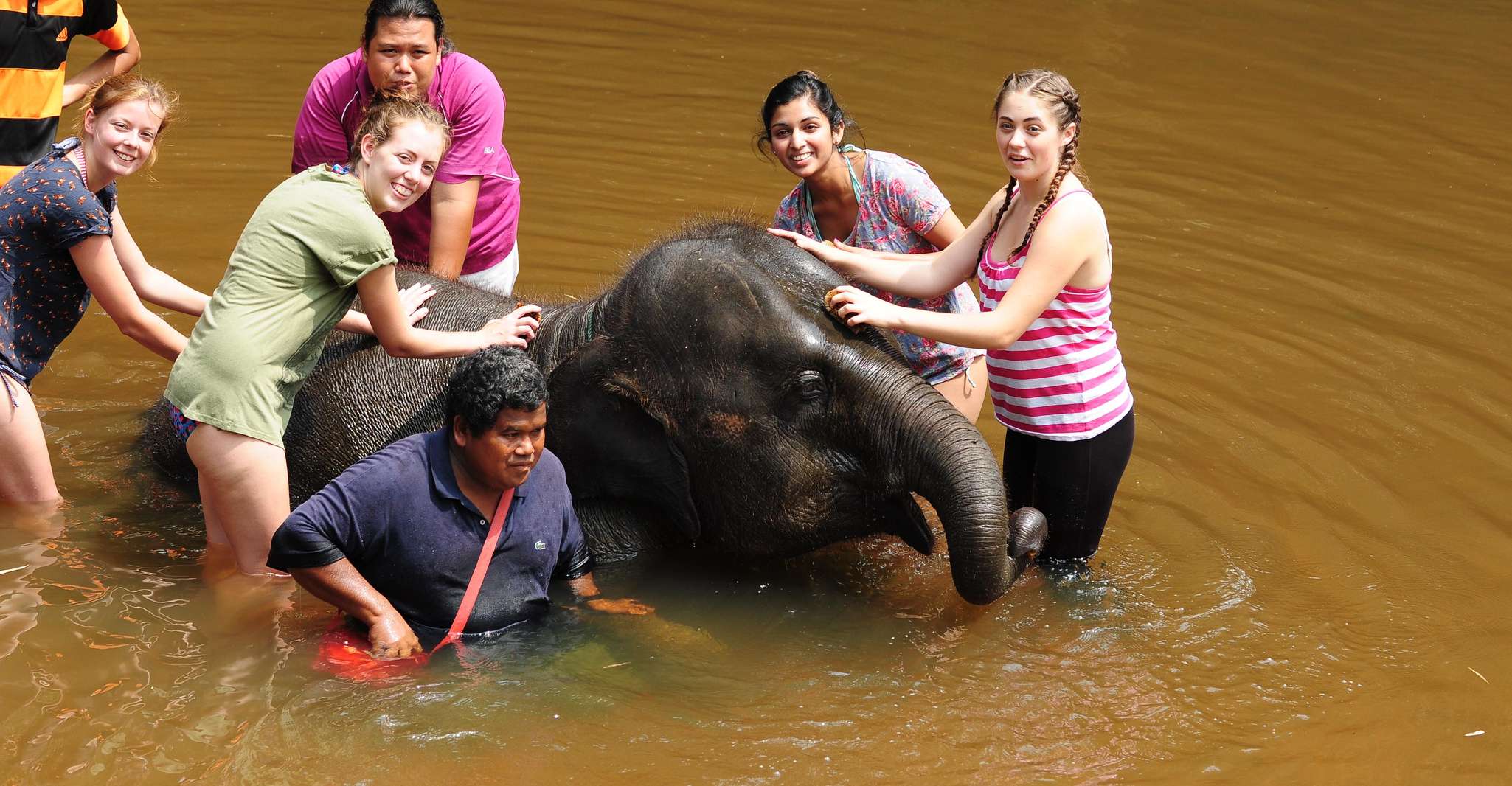 Excursão de um dia ao santuário de elefantes de Kuala Lumpur, Kuala Gandah - Hizvo