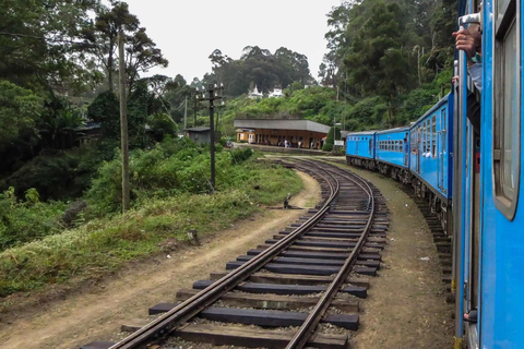 Ambewela to Ella: Scenic Train Ride for Photography Lovers Ambewela to Ella: Scenic Train Ride in 3rd Class cabin