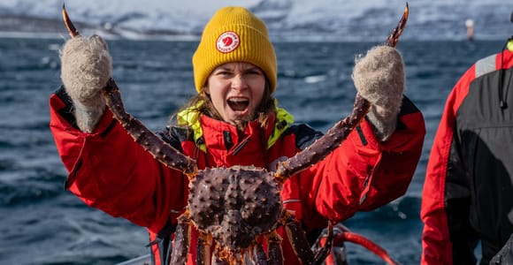 The official Tromsø king crab fish tour