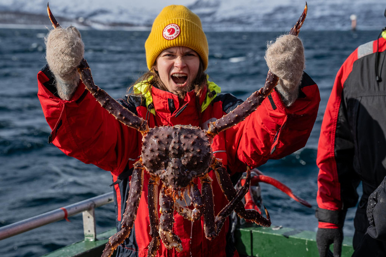 The official Tromsø king crab fish tour