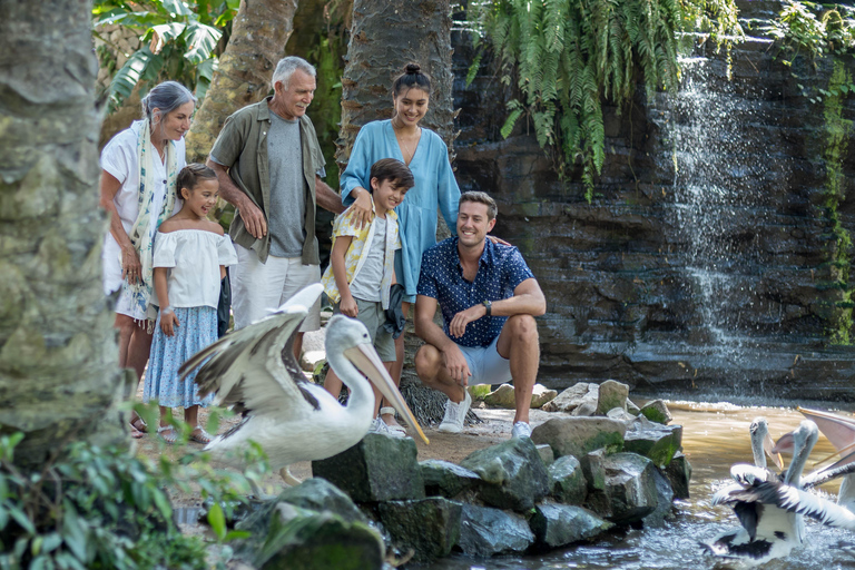 Parque de aves de Bali: ticket de un día