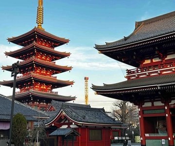 Tokyo: Private Customizable Guided Tour with Local