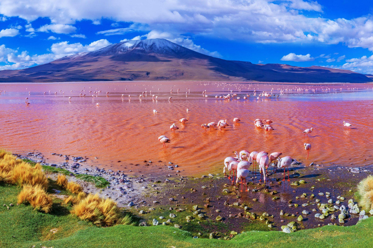 From Uyuni: 3-Day Salt Flats and Lagoons Tour to San Pedro